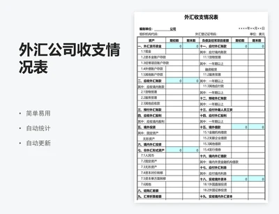 外汇公司收支情况表