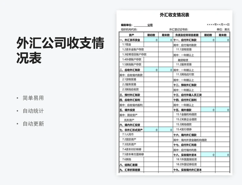 外汇公司收支情况表