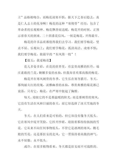 我爱梅花作文.docx