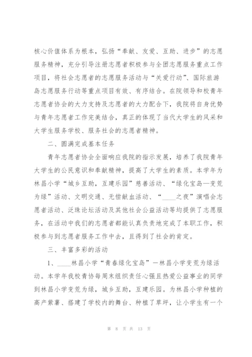 青年志愿者工作总结5篇.docx
