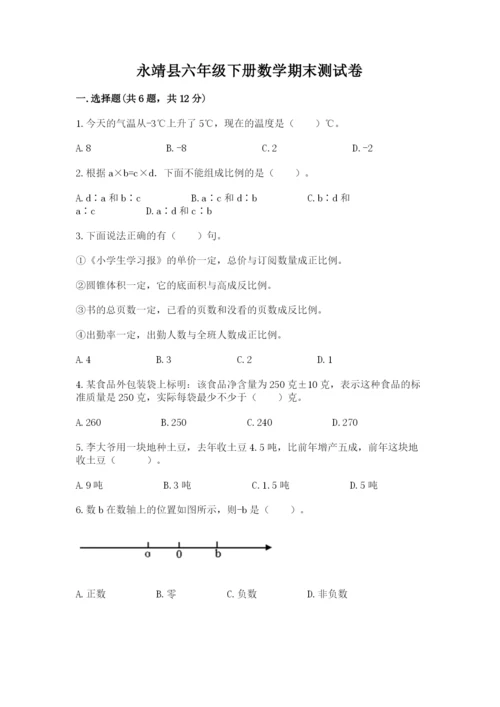 永靖县六年级下册数学期末测试卷（精练）.docx