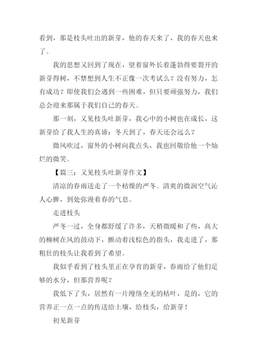 又见枝头吐新芽作文800字.docx