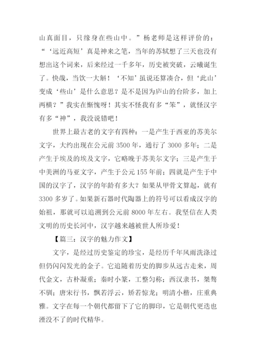 汉字的魅力作文800字.docx