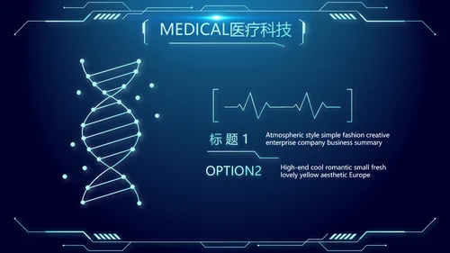 医院医疗科技信息化管理工作总结报告计划动态PPT模板