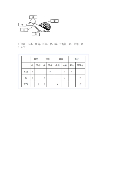 教科版一年级下册科学期末测试卷必考题.docx