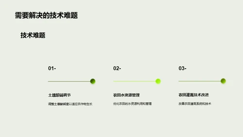 农田振兴：突破与创新