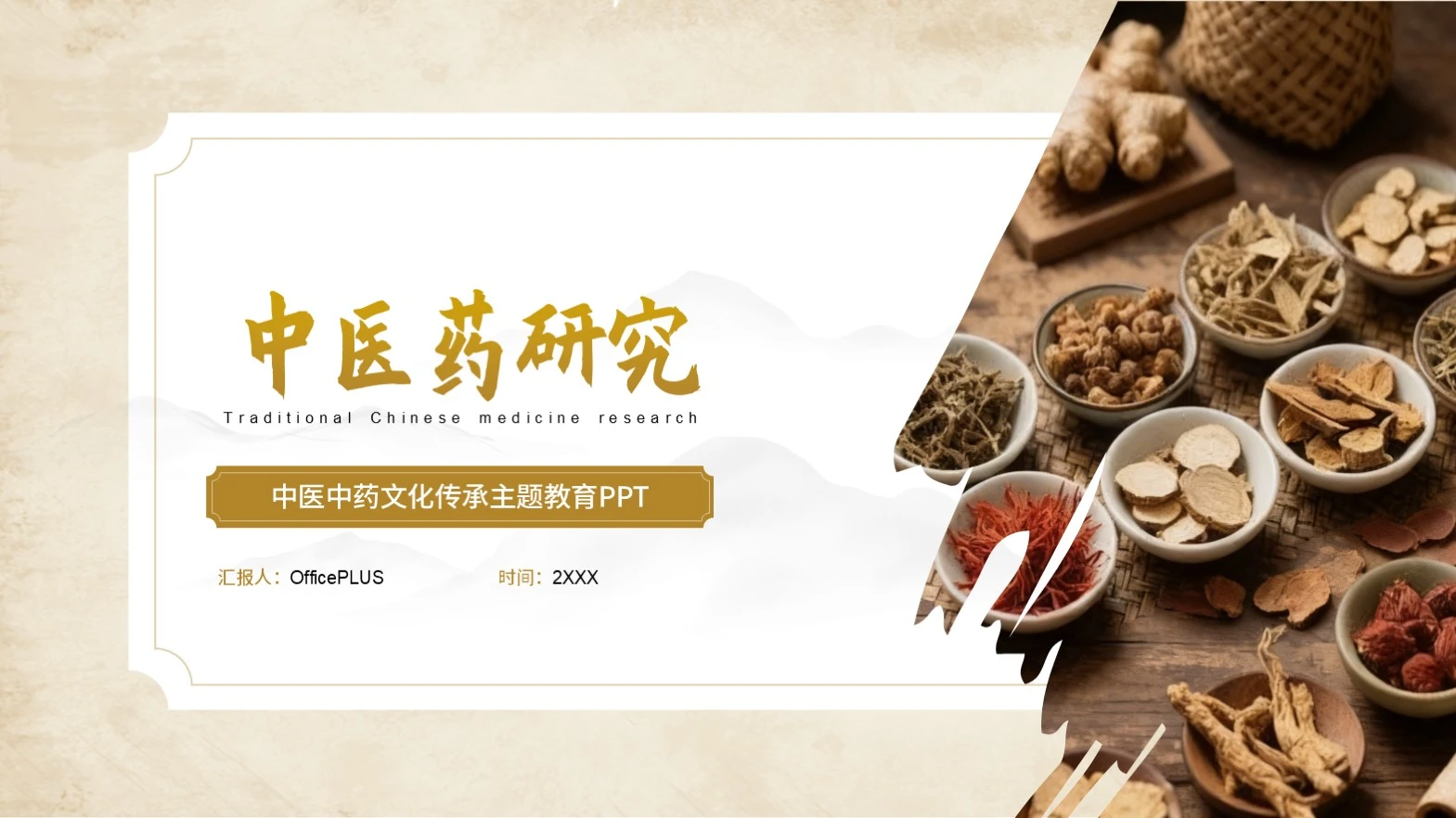 棕色中医药研究PPT模板