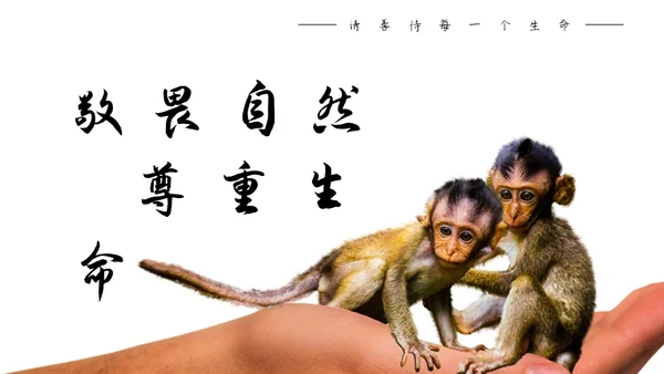 敬畏自然尊重生命保护动物大象通用PPT模板