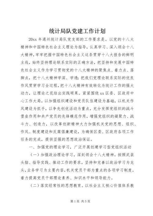 统计局队党建工作计划.docx