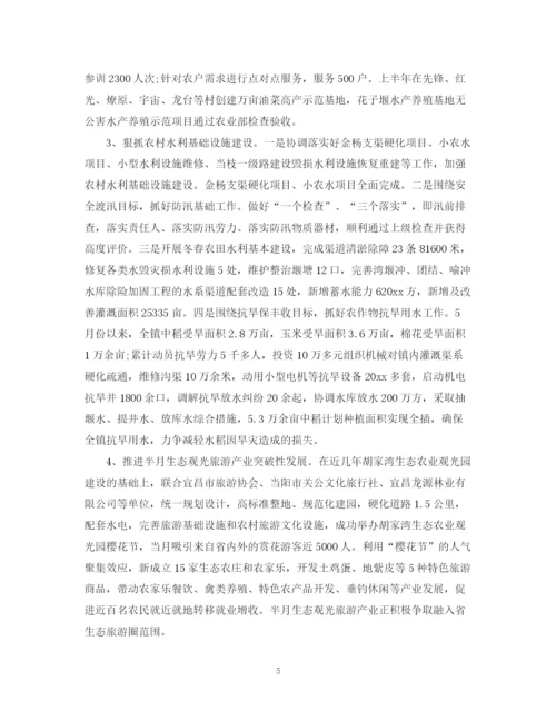 精编之乡镇农业科技上半年总结范文.docx