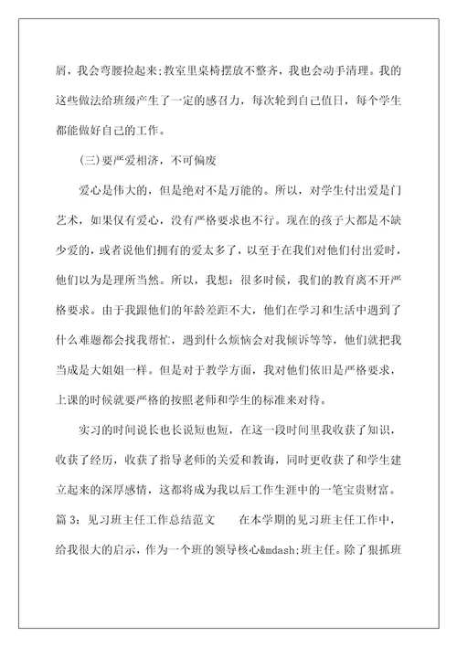 2021见习班主任工作总结范文