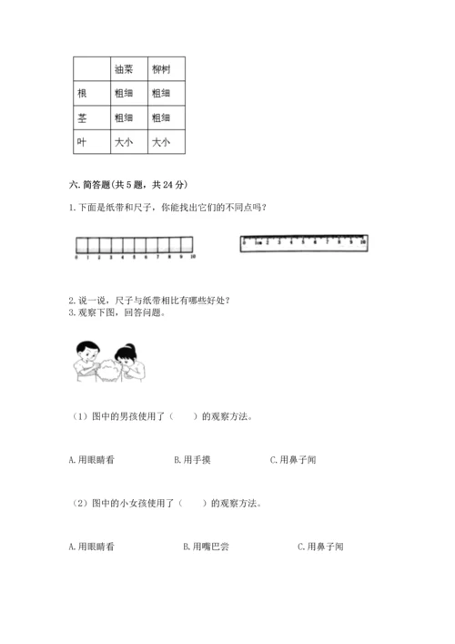 教科版一年级上册科学期末测试卷含答案（综合卷）.docx