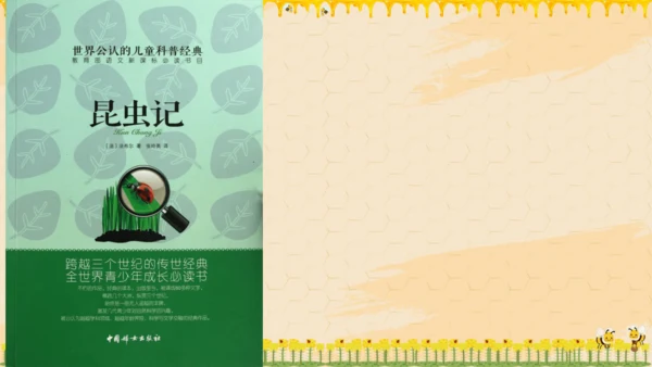 14《蜜蜂》课件