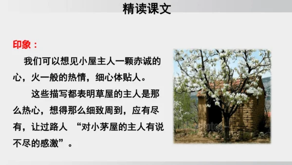 15 驿路梨花 课件