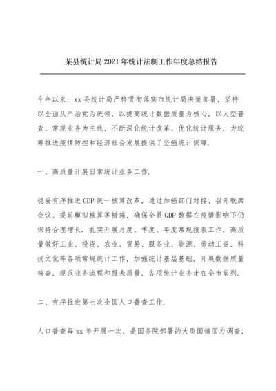 某县统计局2021年统计法制工作年度总结报告.docx