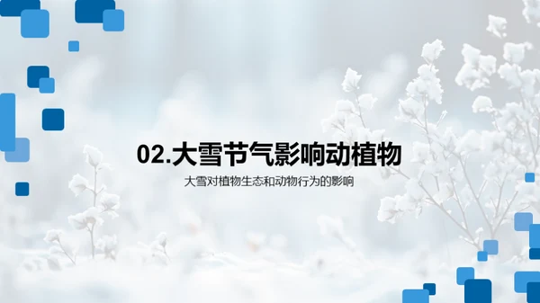 大雪节气与环境