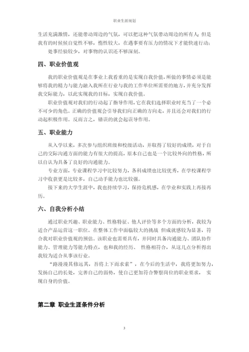 12页4900字汉语言文学专业职业生涯规划.docx