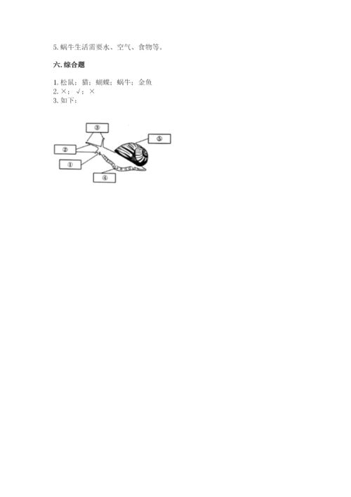 教科版一年级下册科学期末测试卷（达标题）.docx