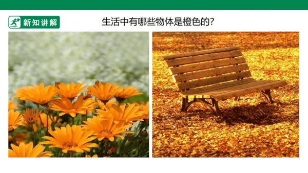 第十一课《橙色的画》课件