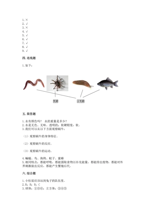 教科版一年级下册科学期末测试卷及参考答案【综合卷】.docx