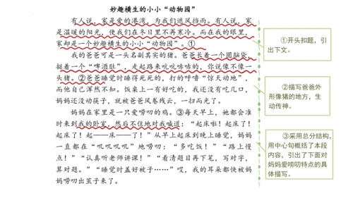 统编版语文四年级上册-2024-2025学年习作：小小动物园（课件）