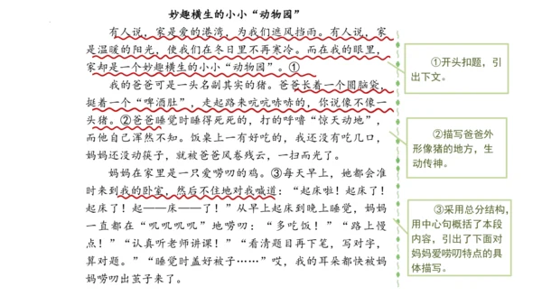 统编版语文四年级上册-2024-2025学年习作：小小动物园（课件）