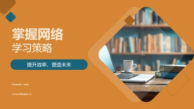 掌握网络学习策略