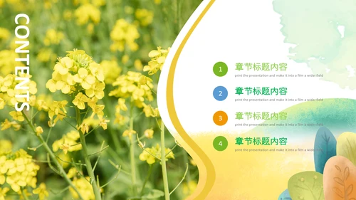 春天乡村旅游油菜花风景油菜花田PPT模板