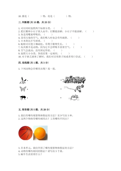 教科版一年级下册科学期末测试卷精品【基础题】.docx