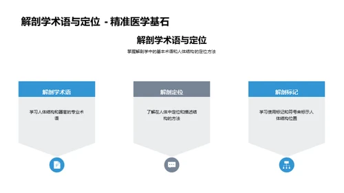 解剖学探索之旅