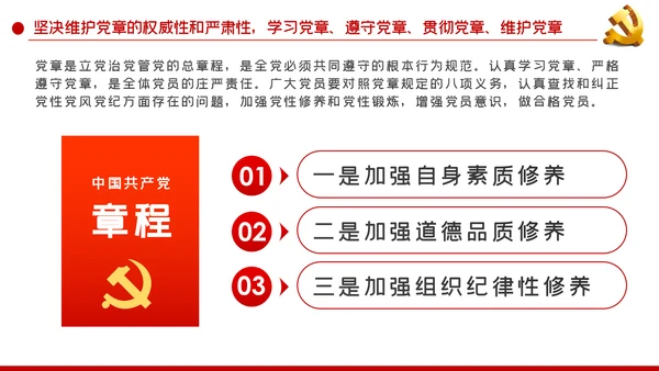 大气党政学党章守纪律转作风党课PPT模板