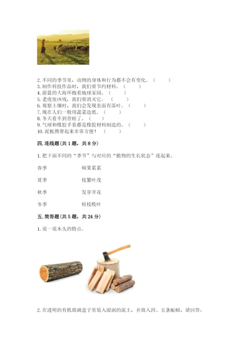教科版二年级上册科学期末测试卷精华版.docx