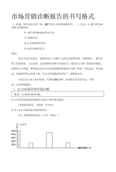 市场营销诊断报告的书写格式