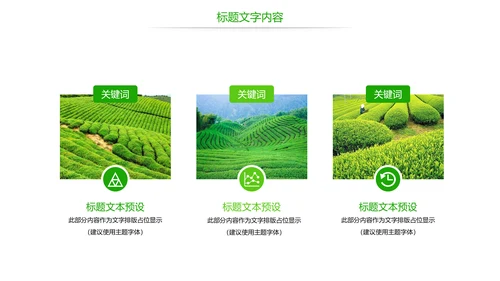 唯美绿色茶园文化茶艺品茶论道动态PPT模板