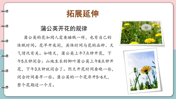 第16课《金色的草地》（第一课时）课件