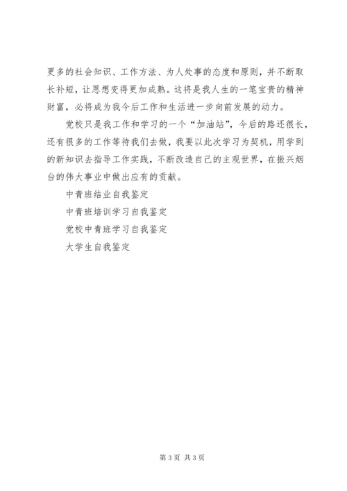 中青班自我鉴定 (6).docx