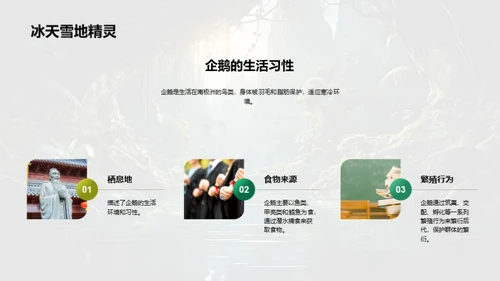 探秘动物世界