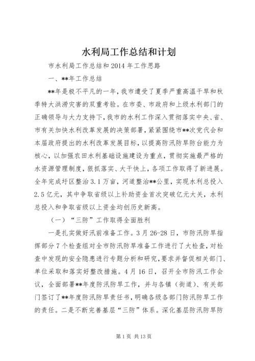 水利局工作总结和计划.docx