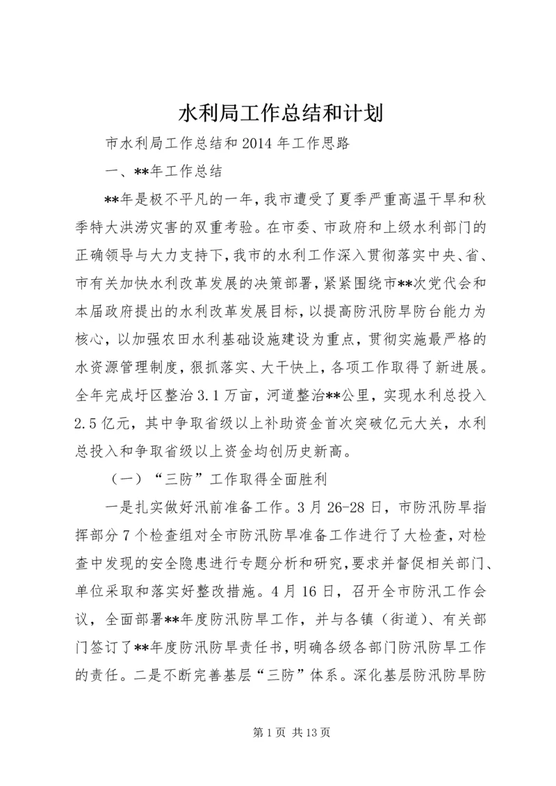 水利局工作总结和计划.docx