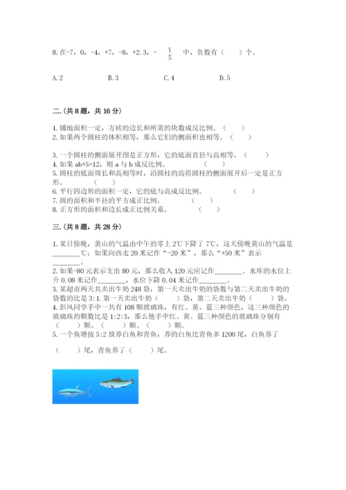 西师大版数学小升初模拟试卷带答案（新）.docx