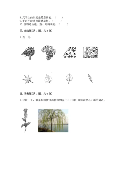 教科版一年级上册科学期末测试卷新版.docx