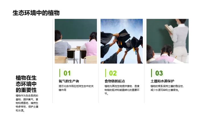 探索植物的奥秘