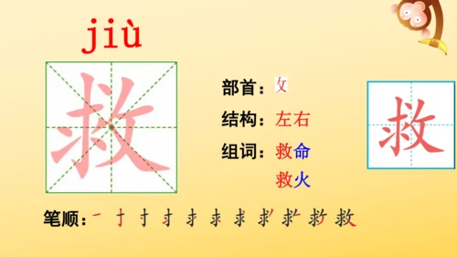 10 在牛肚子里旅行    课件