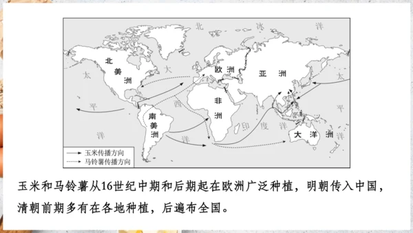 【人教新版】七上 第六章 跨学科主题学习 《探索外来食物传播史》（教学课件24张）