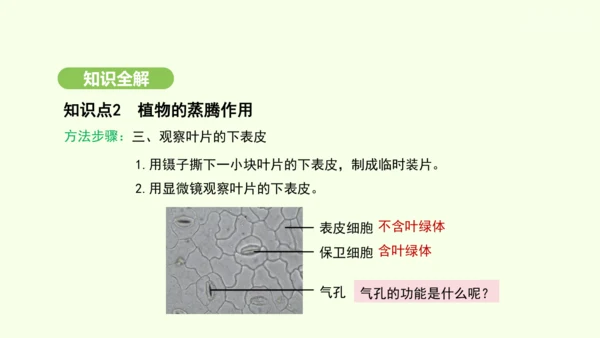 第三单元-第二章-第一节-水的利用与散失课件-2024-2025学年七年级生物下学期人教版(2024
