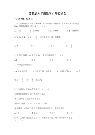 苏教版六年级数学小升初试卷附完整答案【考点梳理】.docx