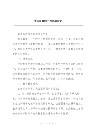 青年新教师工作总结范文.docx