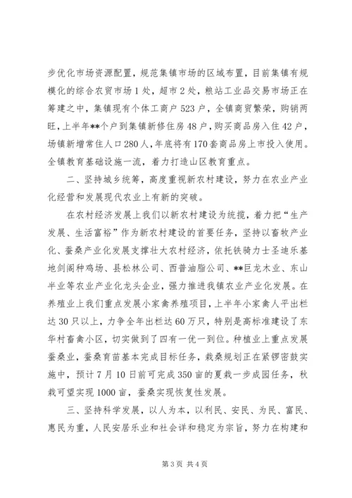 乡镇经济工作实现又好又快发展总结.docx