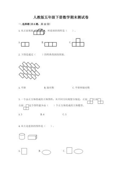 人教版五年级下册数学期末测试卷附完整答案【典优】.docx