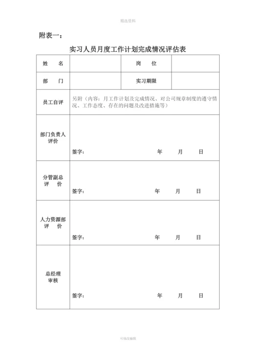 实习人员考核制度.docx